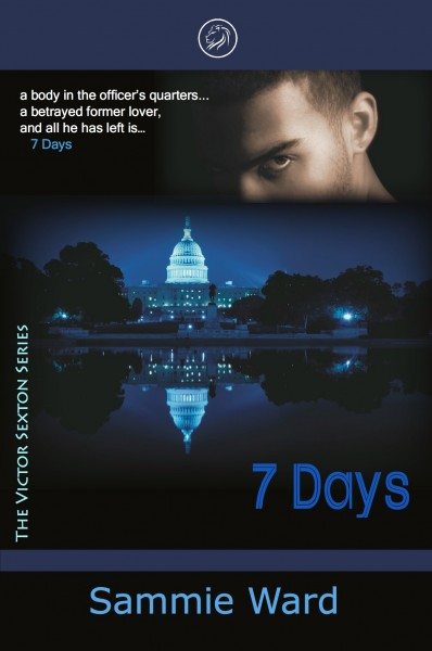 Test 7 days book cover